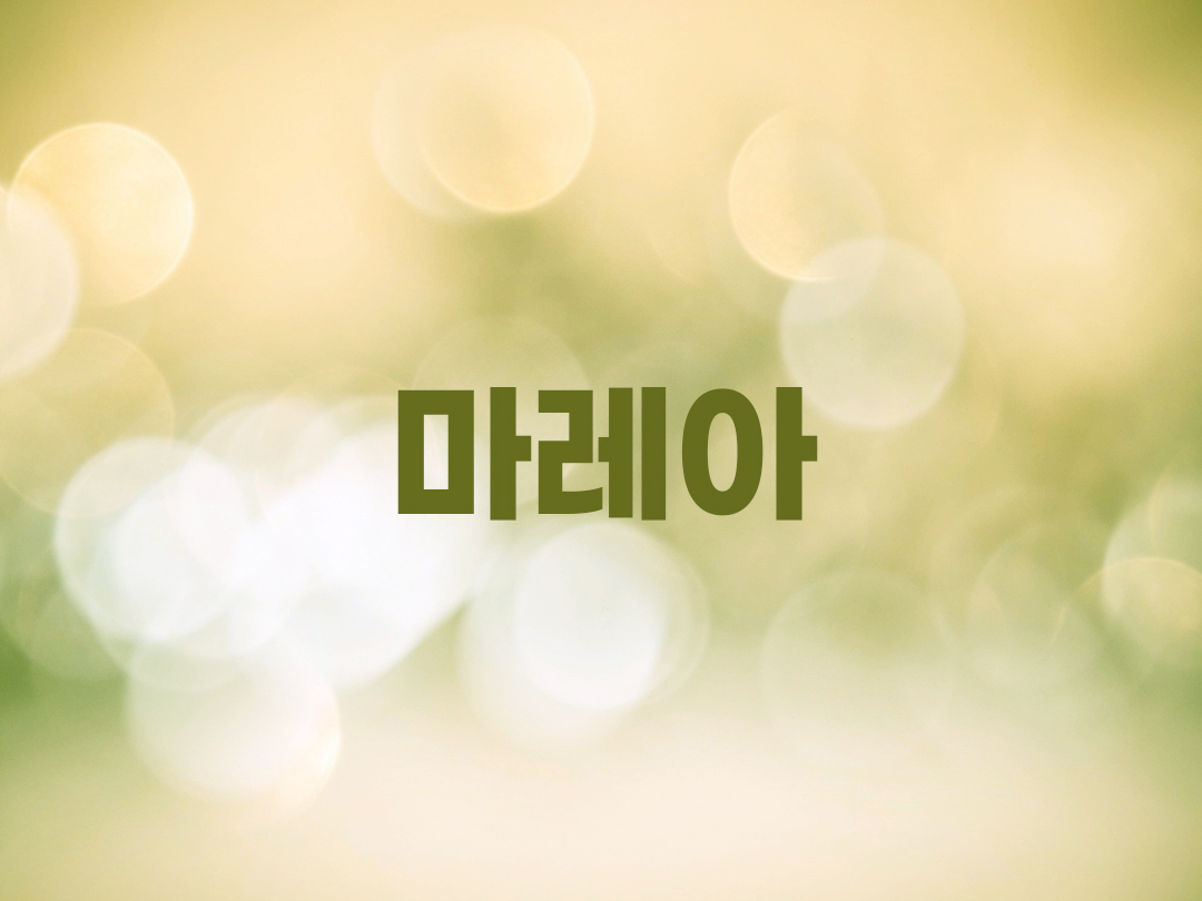 마레아 천주교 남자세례명
