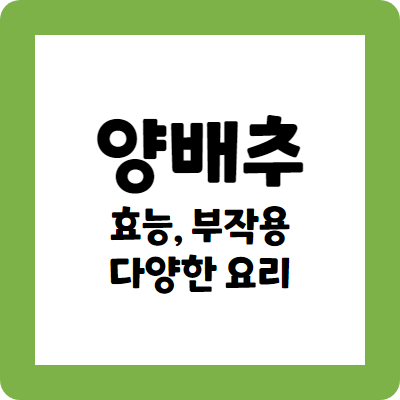 양배추의 효능과 부작용