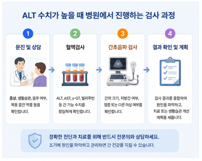 ALT 수치가 높을 때 혈액검사와 간초음파 등 추가 검사 과정을 안내한 이미지
