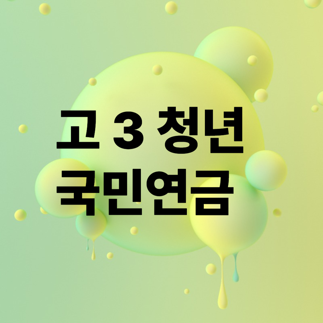 고3 청년 국민연금