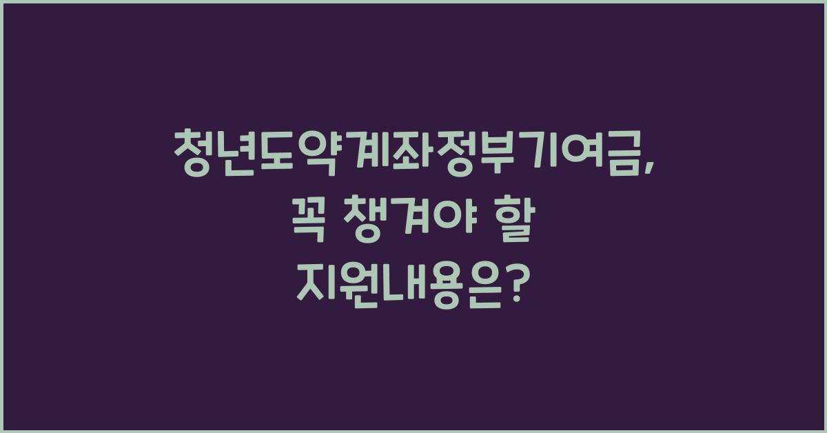 청년도약계좌정부기여금