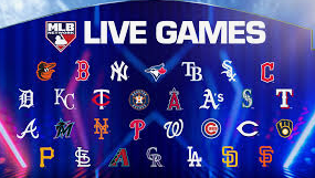 피치클락 경고 위반 뜻