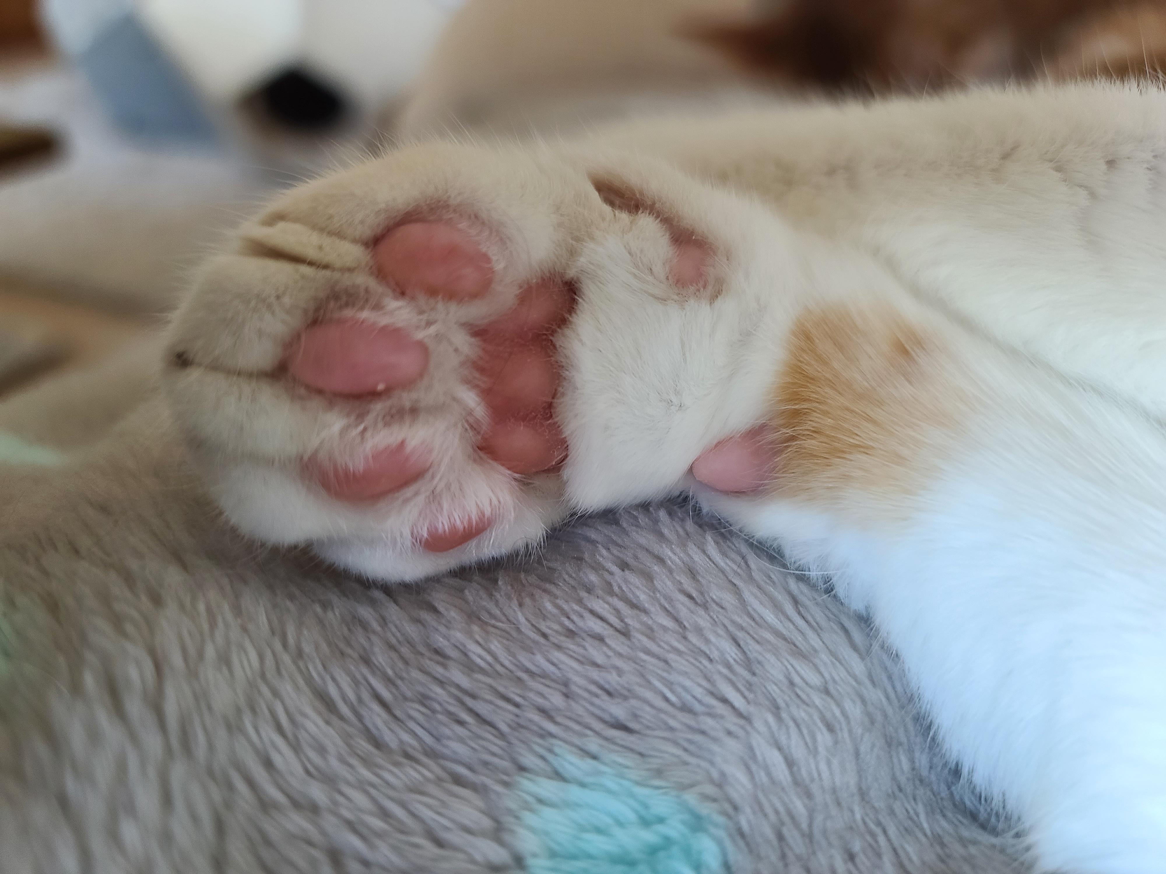 안아달라 칭얼대는 막둥이