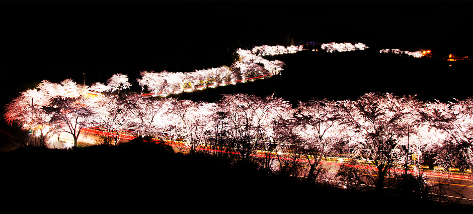 청풍호반길 사진