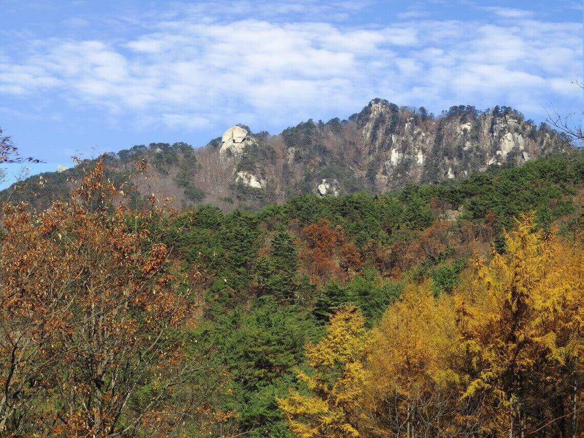 용화산 (사진출처:산림청)