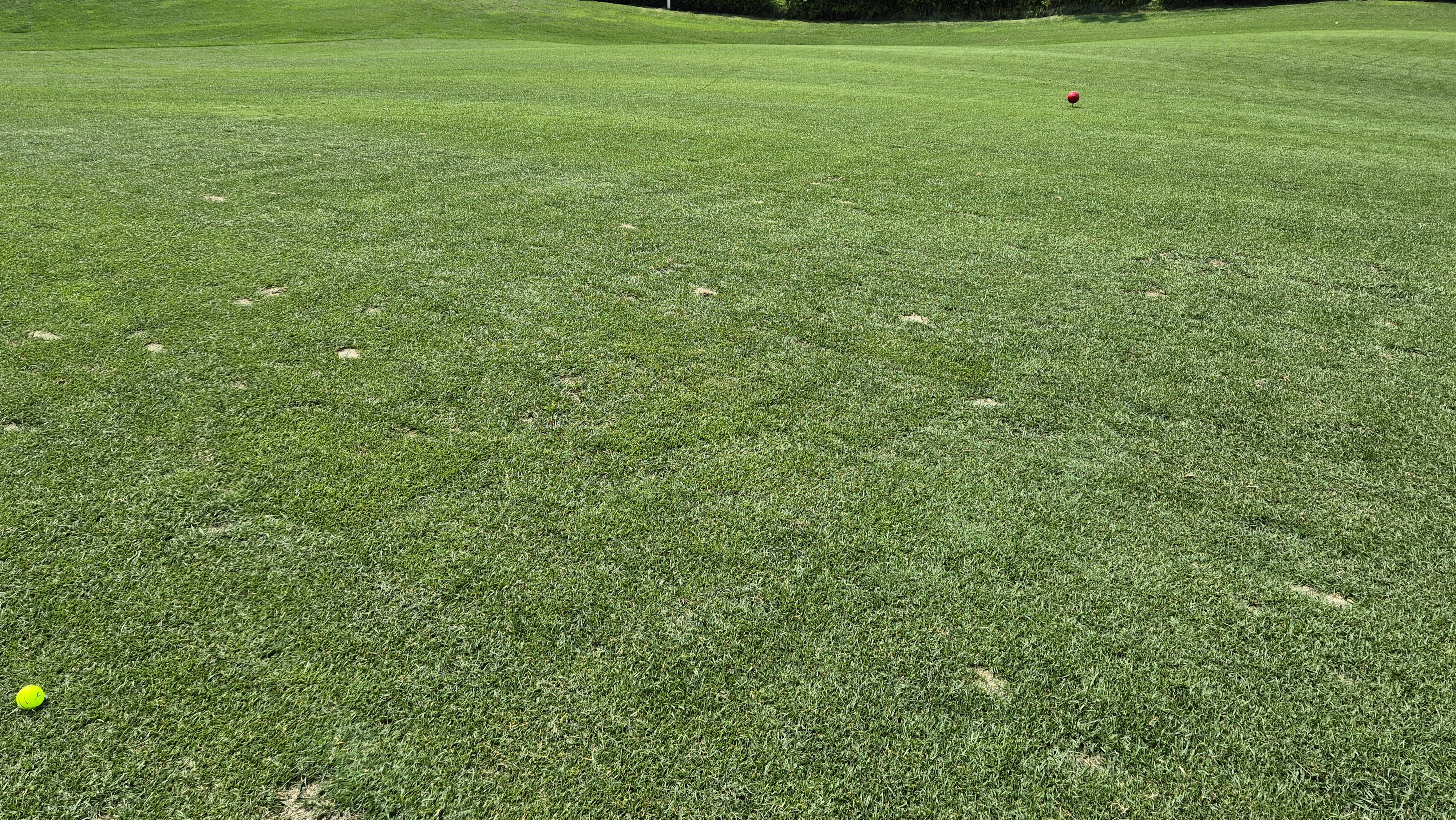 오너스gc 라운드 후기