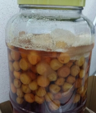 매실청 담그는법