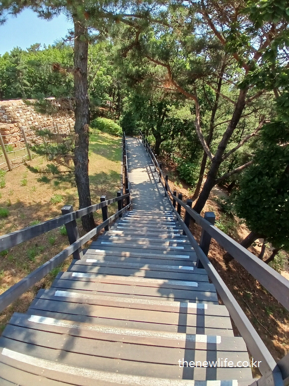 Looking down long wooden stairs – example of stair descent that may stress the knees-길게 이어진 나무 계단을 내려다본 장면 – 무릎에 부담이 될 수 있는 계단 내려가기 예시