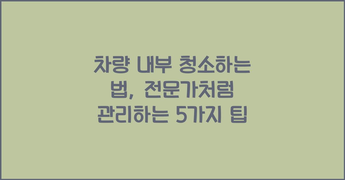 차량 내부 청소하는 법: 전문가처럼 깔끔하게 관리하는 방법