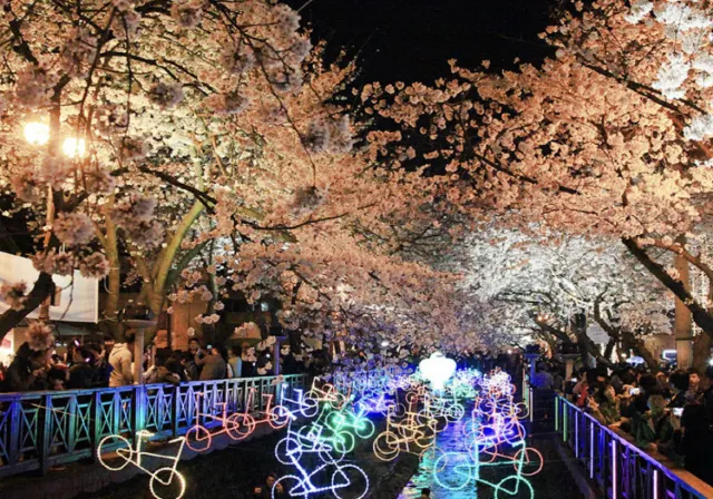 진해 군항제 벚꽃 축제