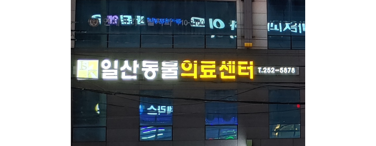 울산 동구 동물병원