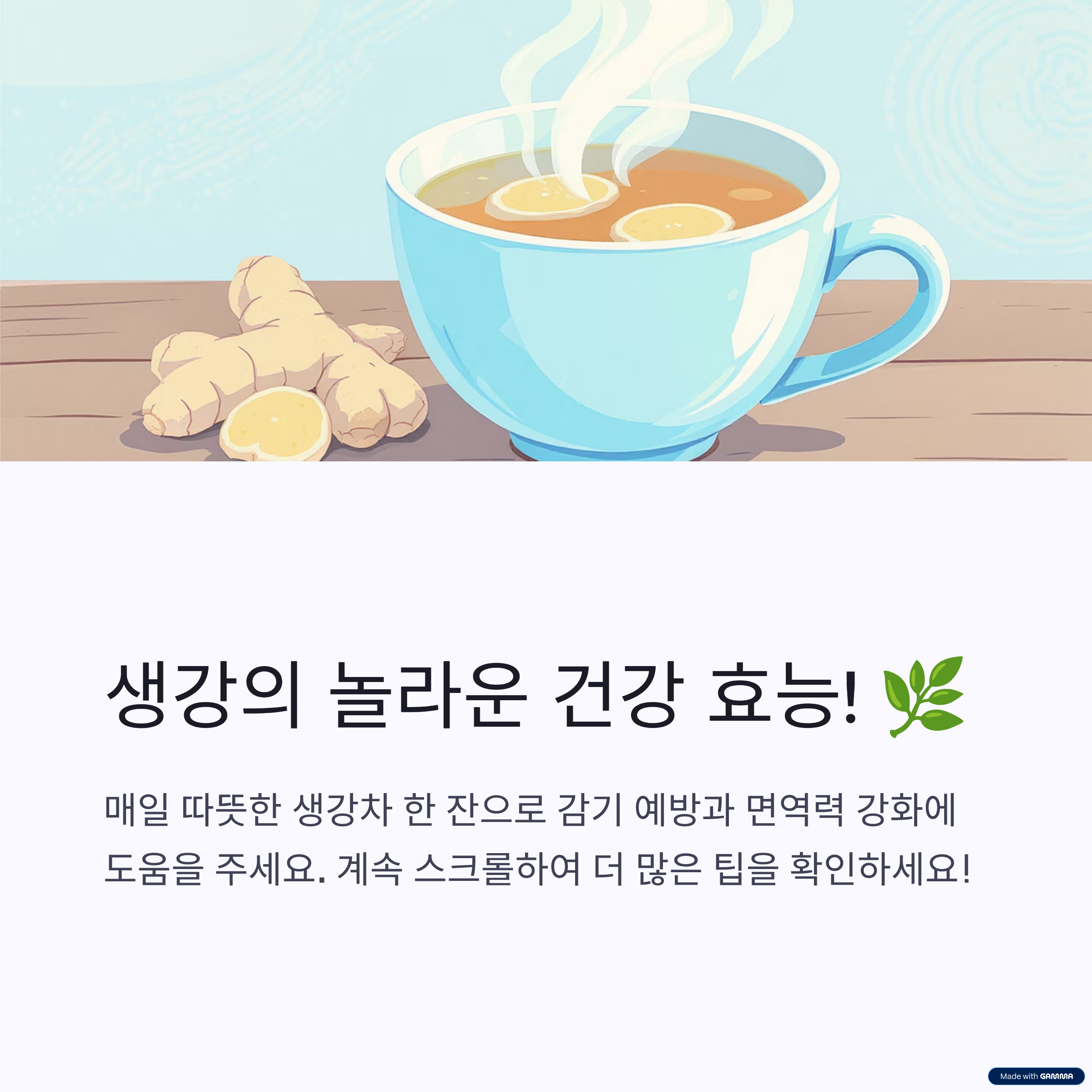 생강의 효능