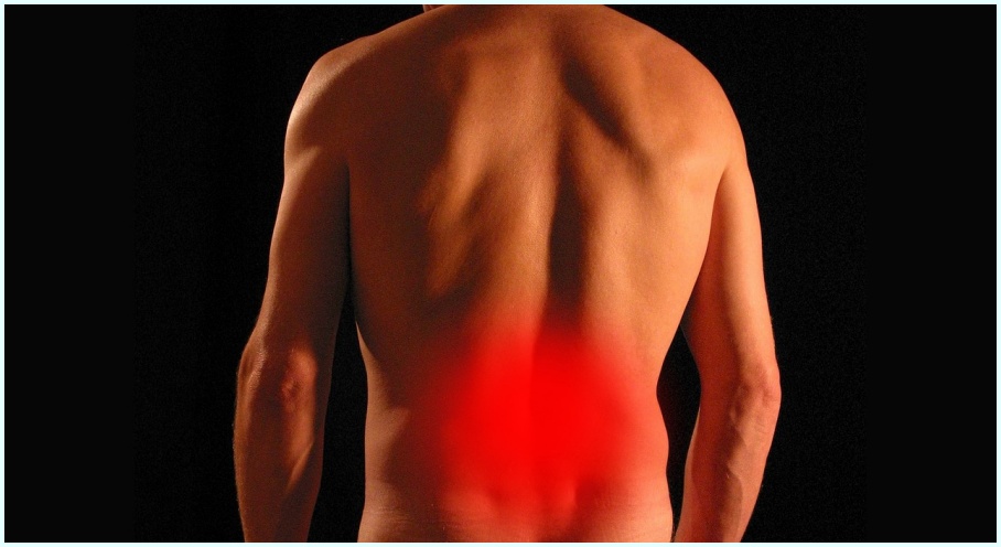 허리 통증의 원인, 질환별 대처 방법은?