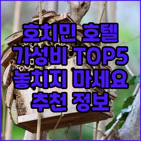 가성비 호치민 호텔 추천 TOP5 놓