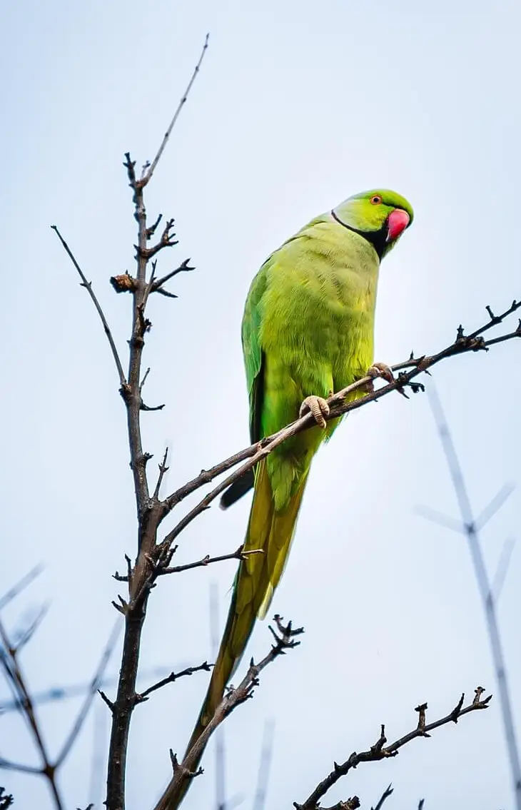 아빠 육아휴직 장려금 신청 방법