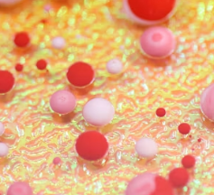 고지혈증에 좋은 음식 나쁜 음식