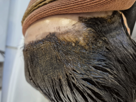 새치커버 홈 케어 관리법