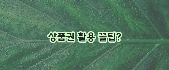 이마트 상품권 어디에서 사용해야 할까요 궁금하시죠