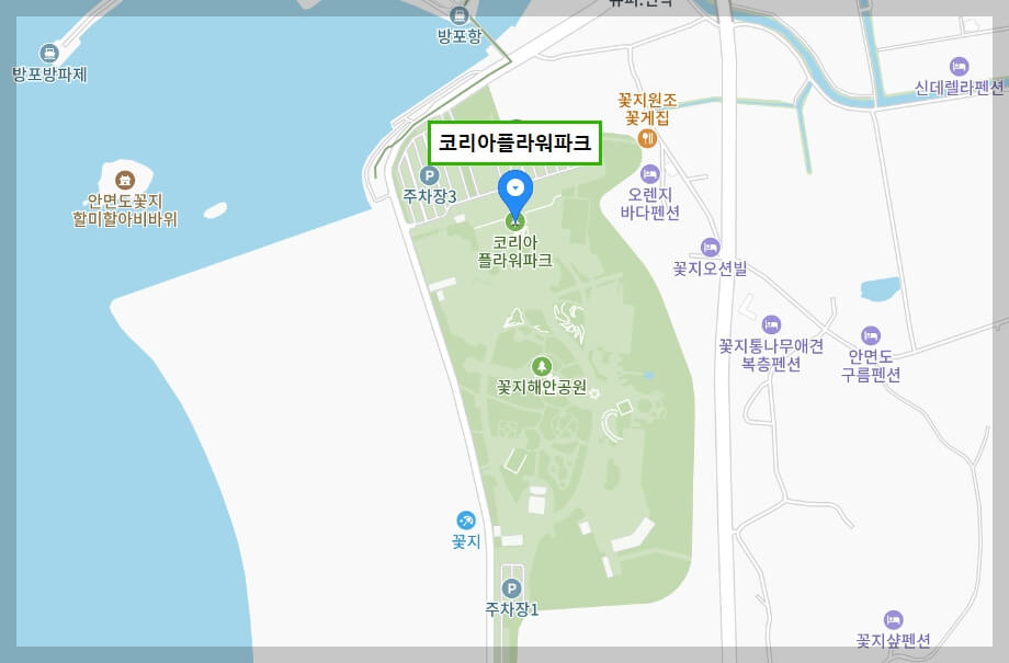 2024 태안 튤립 축제 일정 기간 입장료 할인 주차장