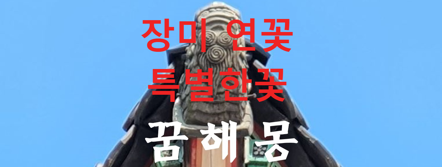 꿈해몽