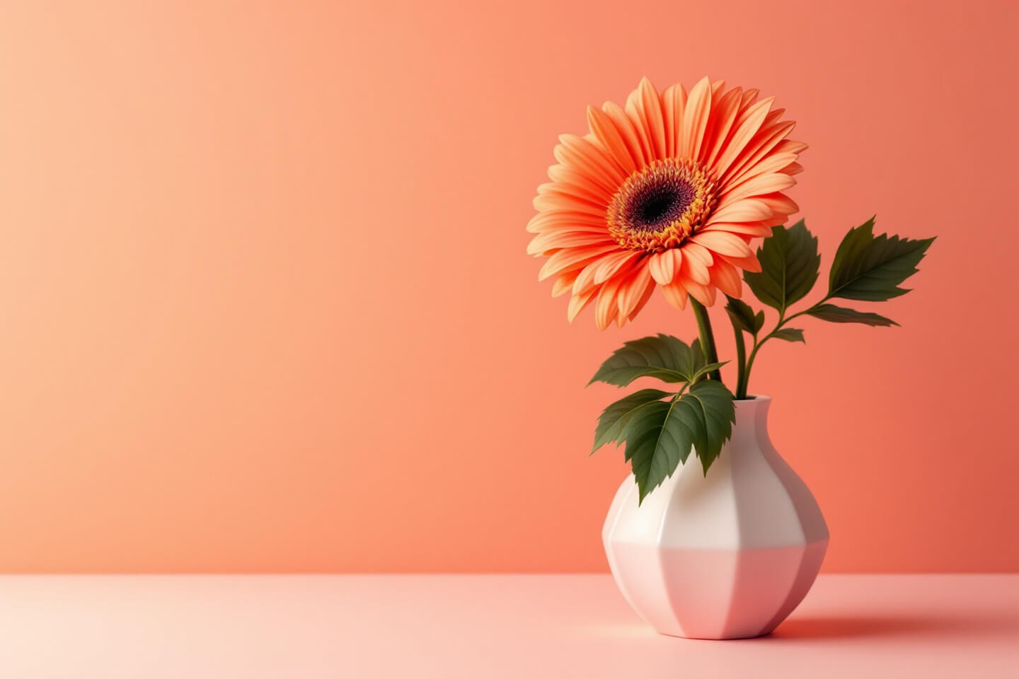 거베라 사진입니다.