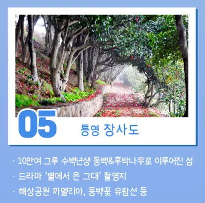 겨울 여행하기 좋은 섬 5곳