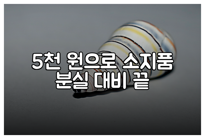 5천 원으로 소지품 분실 대비 끝