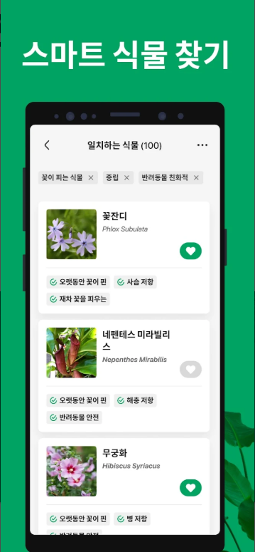 꽃 이름 검색, 꽃 이름 식별 앱