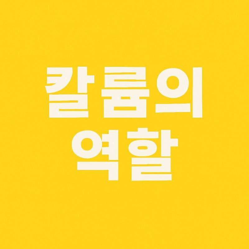 칼륨의 역할