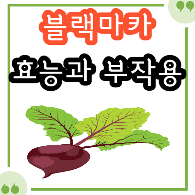 블랙마카 효능