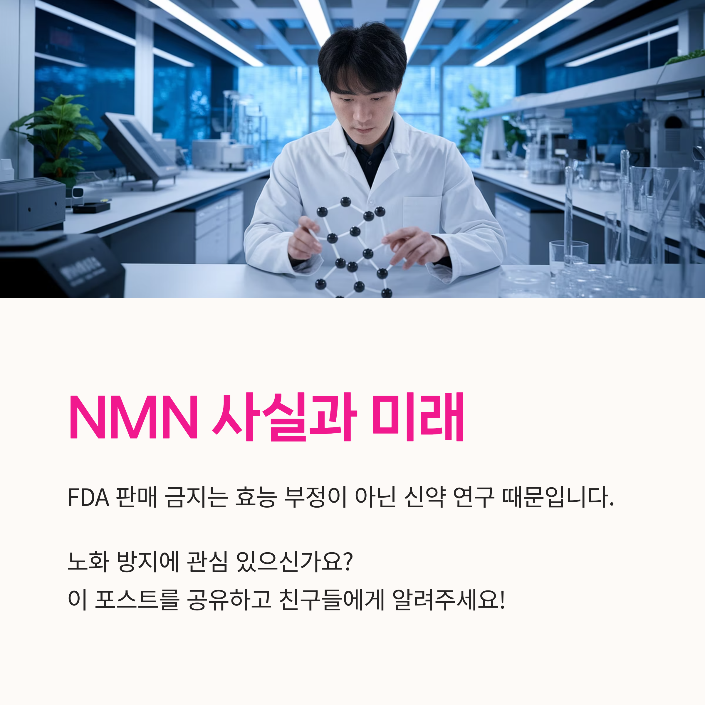 건강보조제시장