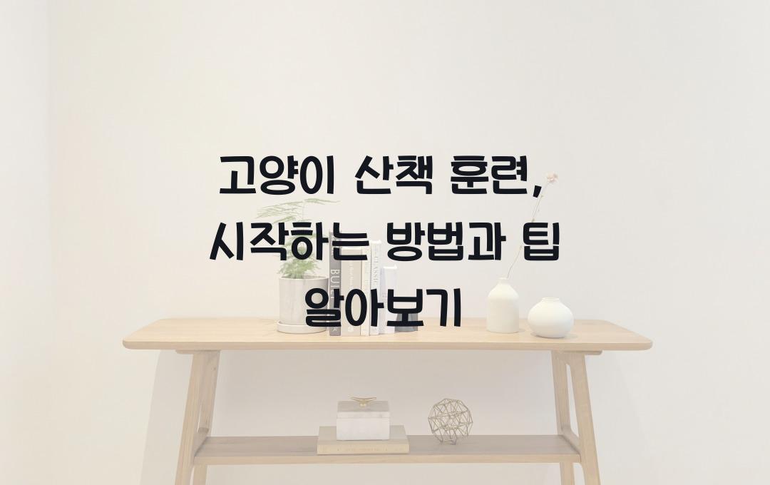 고양이 산책 훈련, 시작하는 방법