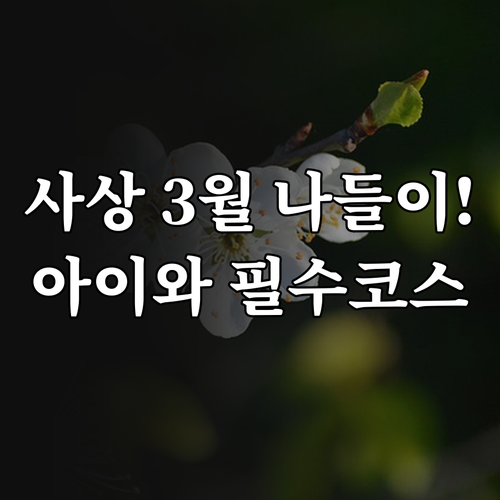 아이와 함께가는 부산 사상구 3월 나..