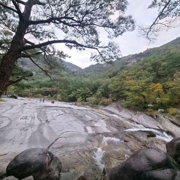 무릉계곡