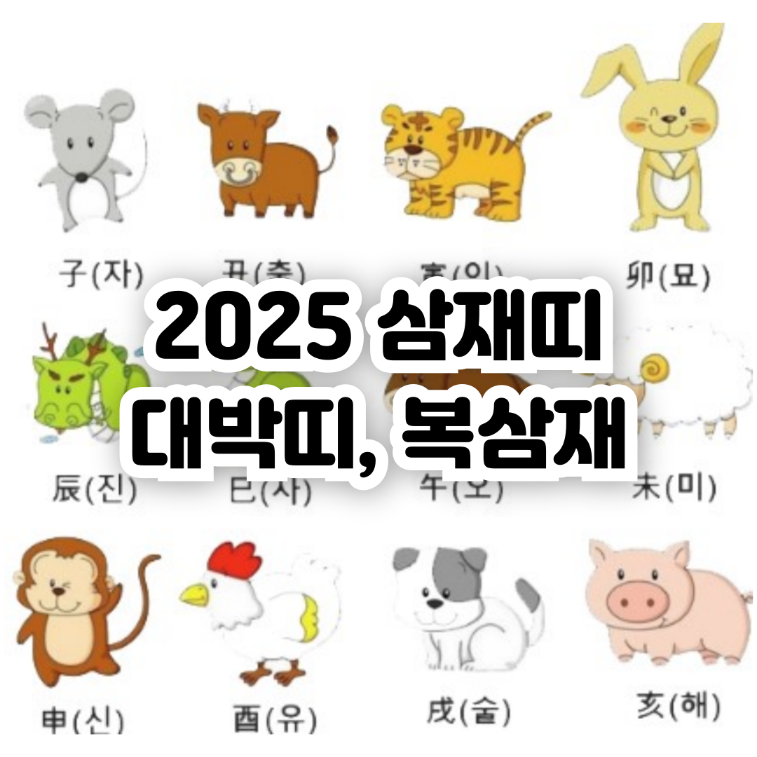 2025년-삼재띠