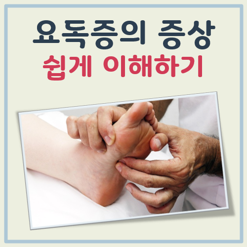 요독증의 증상 대표 이미지