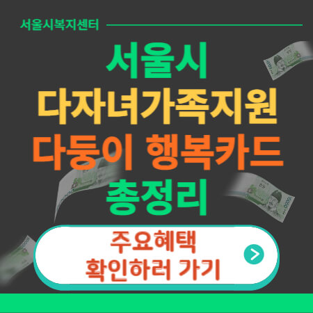 서울시 다둥이 행복카드 썸네일-이미지