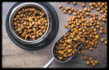 강아지 사료 급여량 계산 가이드