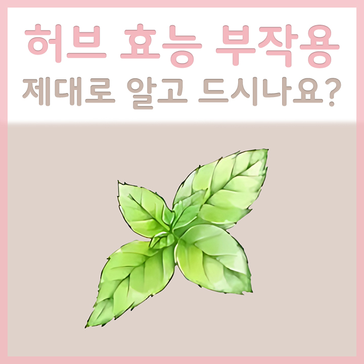 허브