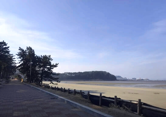 춘장대해수욕장-서천-가볼만한곳-추천