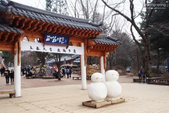 가평 남이섬 근처 관광지 가볼만한곳 안내집_14