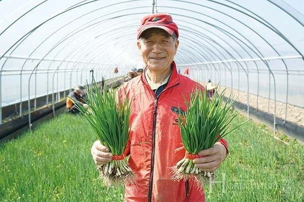 쪽파 재배 분구 관리 유기 자재 활용 친환경 방제_9
