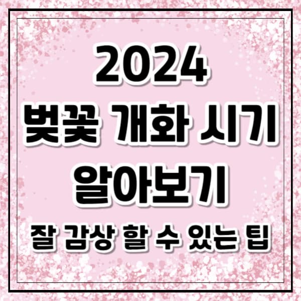 2024 벚꽃 개화 시기