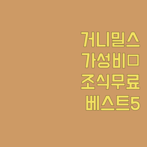 일리노이 거니 밀스 몰 주변 가성비 ..