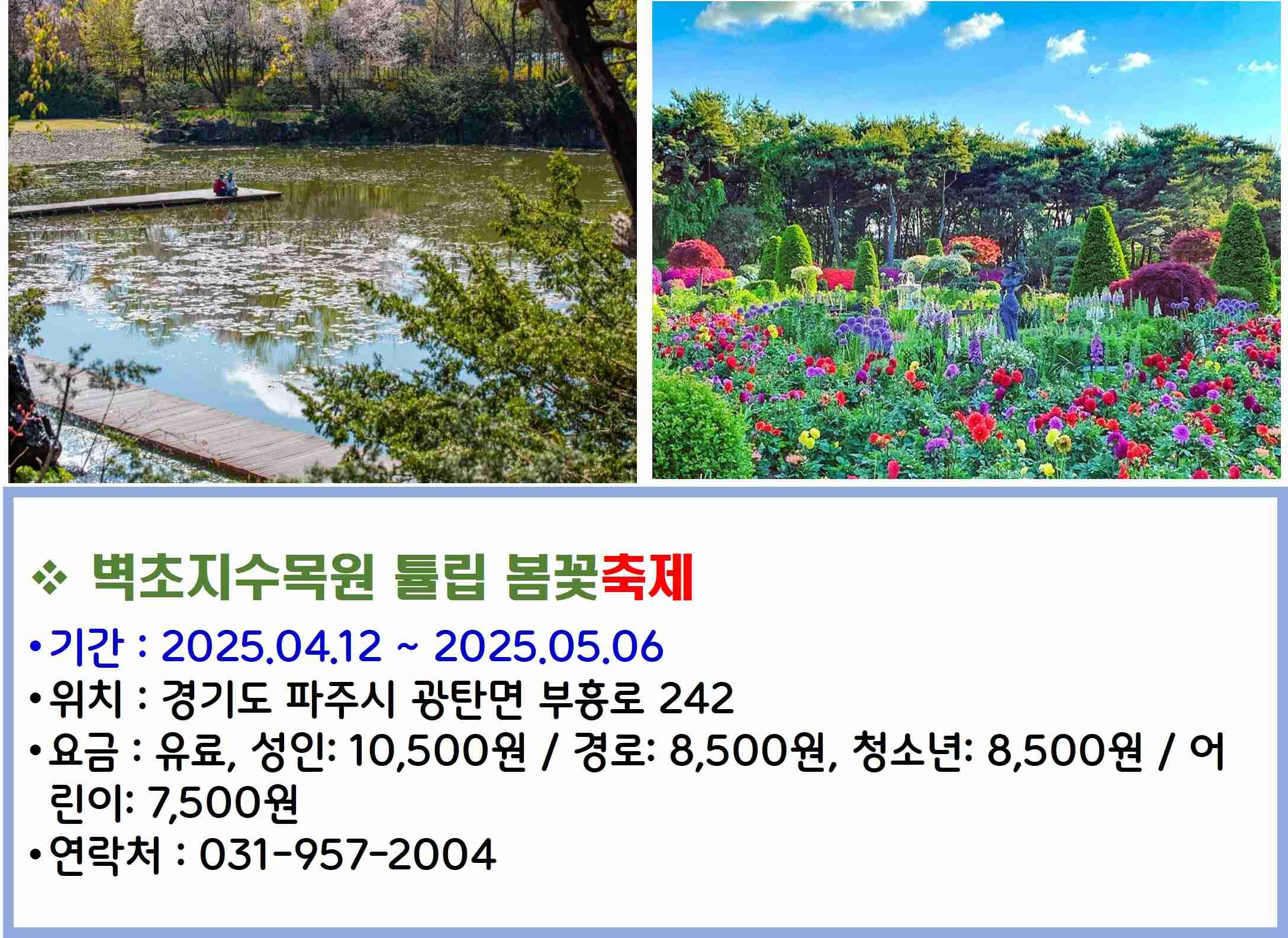 벽초지수목원 튤립 봄꽃축제