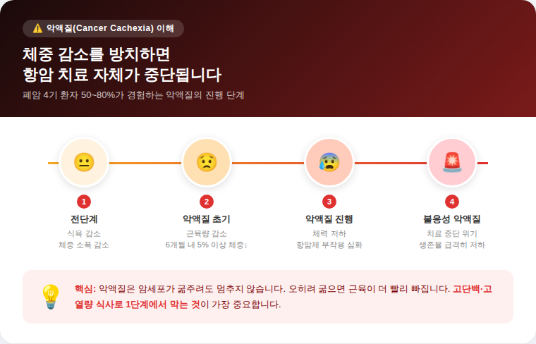 암 악액질 Cancer Cachexia 4단계 진행 과정 인포그래픽