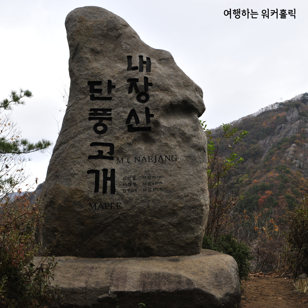 내장산 국립공원