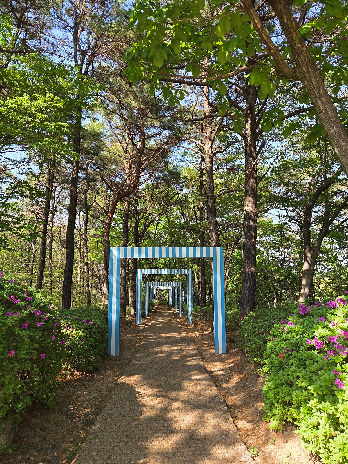 김포 가볼 만한 곳｜자연과 예술이 공존하는 세계 유일의 김포국제조각공원 산책