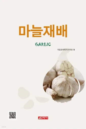 마늘 심는 시기, 재배 방법과 기술, 파종 시기와 방법, 모종 심는 시기와 방법_31