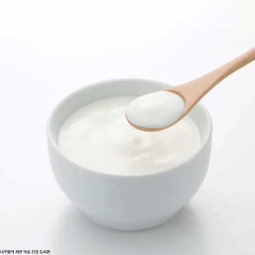 세계 5대 건강 식품 요구르트